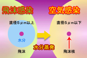 飛沫感染と空気感染